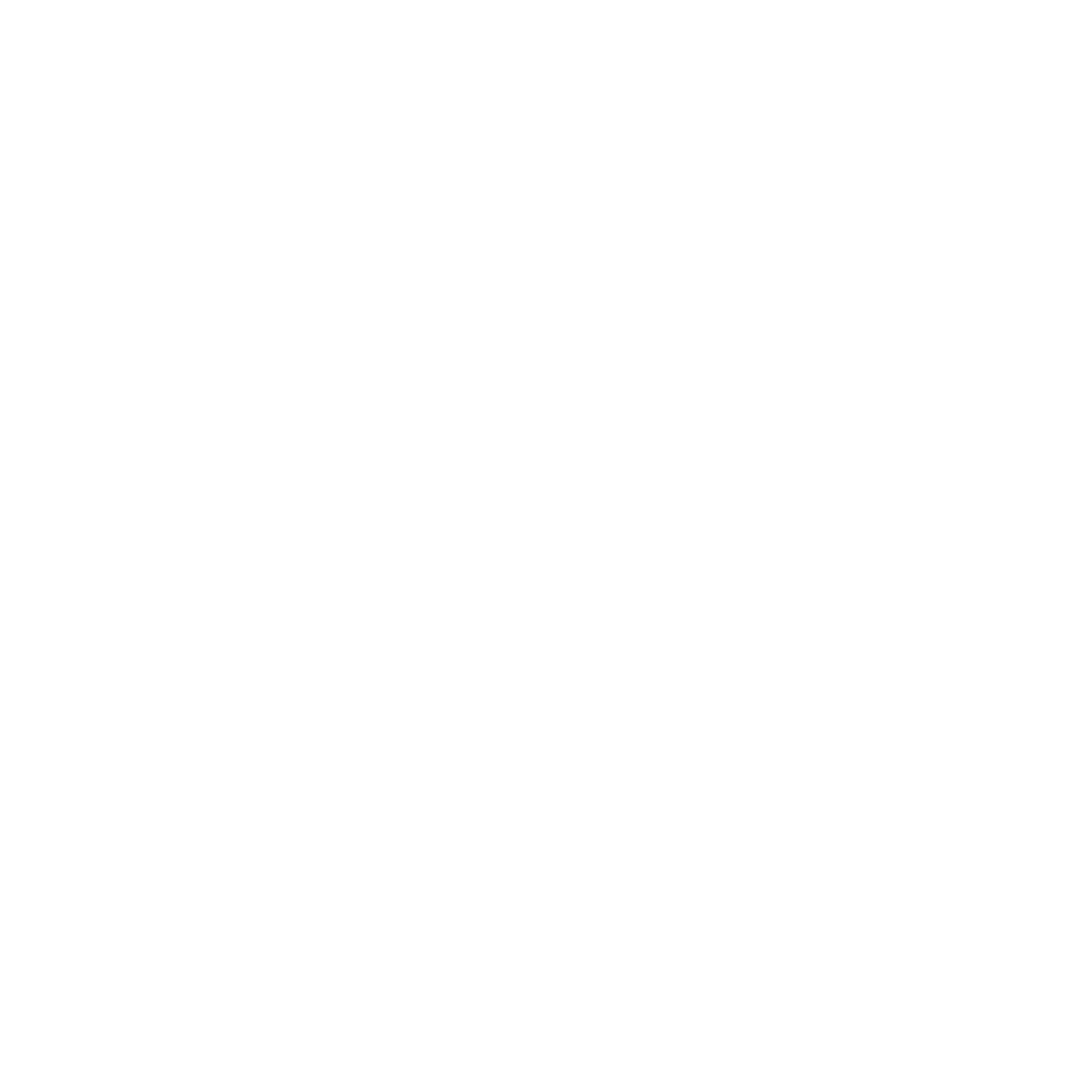 ROM Icon